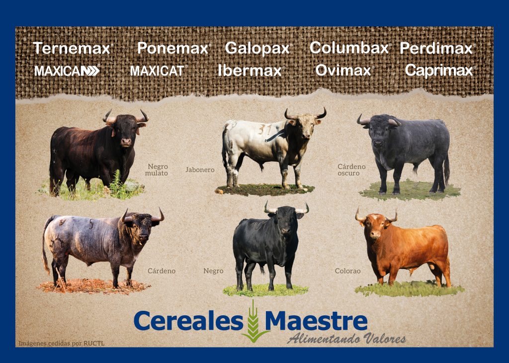 calendario 2026